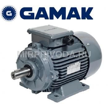 Электродвигатели Gamak