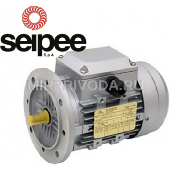 Электродвигатель Seipee