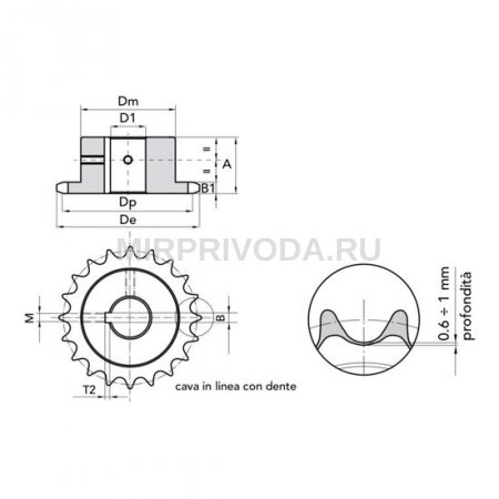 Звездочка 16B-1 со ступицей, под шпонку, Z=15, d=42 температурная закалка