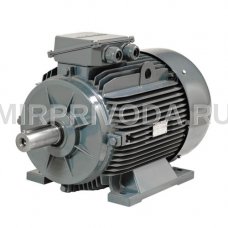 Электродвигатель трехфазный GMM2E 355 M 2c (355/3000)