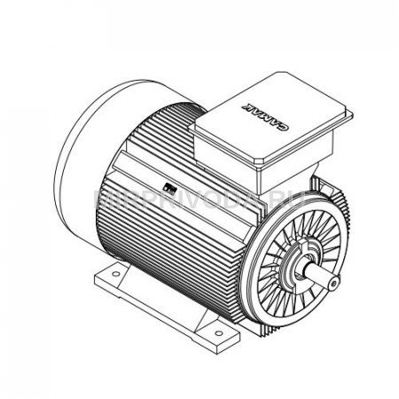 Электродвигатель трехфазный GMM 400 L 2d (630/3000)