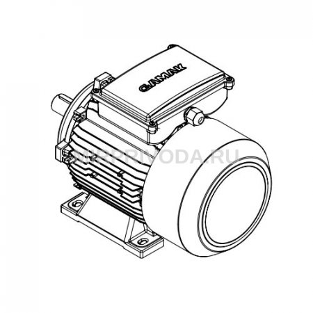 Однофазный электродвигатель MS21D 100 L 2a (3/3000)