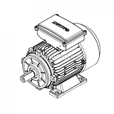 Однофазный электродвигатель MS21D 100 L 2a (3/3000)