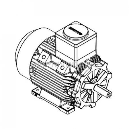 Взрывозащищенный электродвигатель GM2Exd 160 L 2 (18.5/3000)