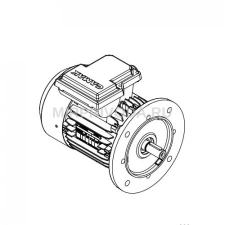 Однофазный электродвигатель M21D 80 M 2c (0.75/3000)