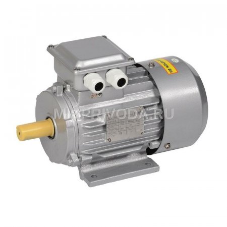 Электродвигатель W20 100L 4P 3.0/1500  220/380В, IMB3Т (1081), IP55 WEG