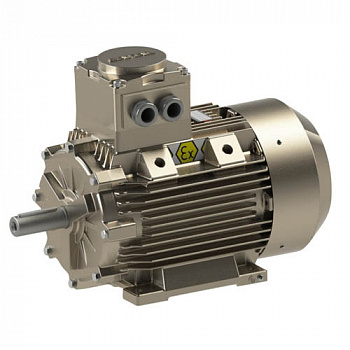 Взрывозащищенный электродвигатель GM1Exd 100 L 2 (3/3000)