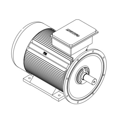 Электродвигатель трехфазный GMM 400 L 6d (500/1000)