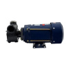 Насос для бензина Petroll Polaris 120