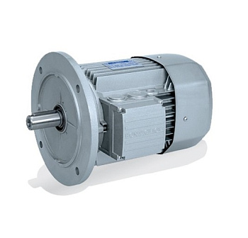 BN 100L 2 B14 (3/3000) Электродвигатель
