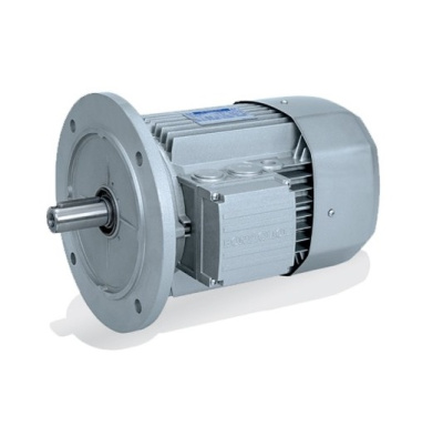 BN 100L 2 B14 (3/3000) Электродвигатель