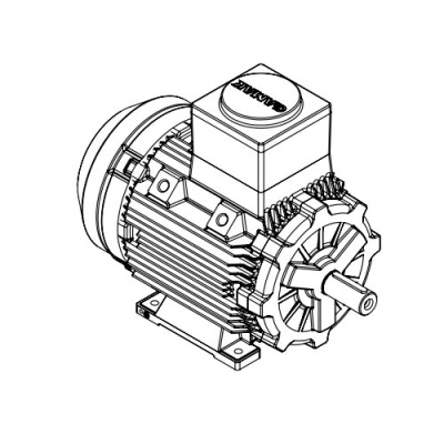 Взрывозащищенный электродвигатель GM2Exd 132 S 2a (5.5/3000)