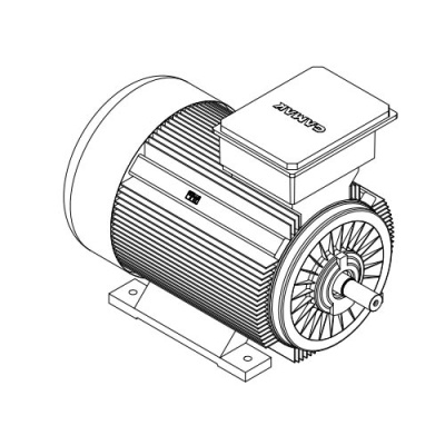 Электродвигатель трехфазный GMM 400 L 2c (560/3000)