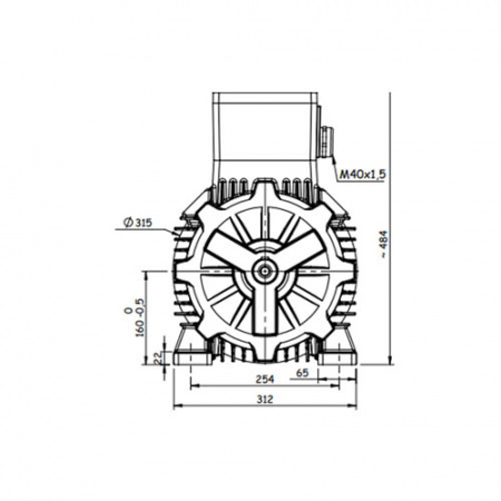 Взрывозащищенный электродвигатель GM1Exd 160 M 2b (15/3000)