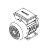 Однофазный электродвигатель MS21D 90 S 2c (1.5/3000)