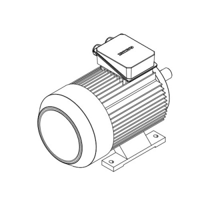 Электродвигатель трехфазный AGM2E 200 L 2b (37/3000)