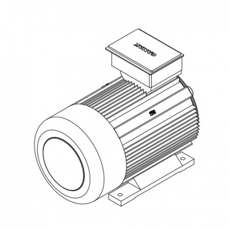 Электродвигатель трехфазный GMM 450 L 8a (500/750)