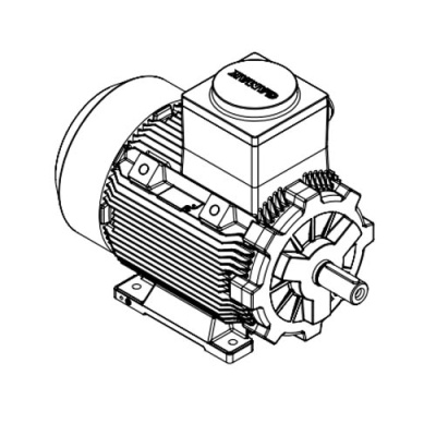 Взрывозащищенный электродвигатель GM1Exd 200L 6b (22/1000)