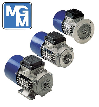 MGM/CHT 63D 4 B14 (0.25/1500) Электродвигатель